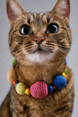 [object Object] undefined