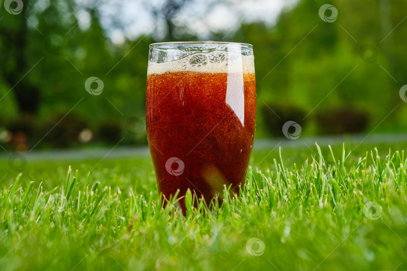 Скачать Бокал пива на зеленой траве. фотосток Ozero