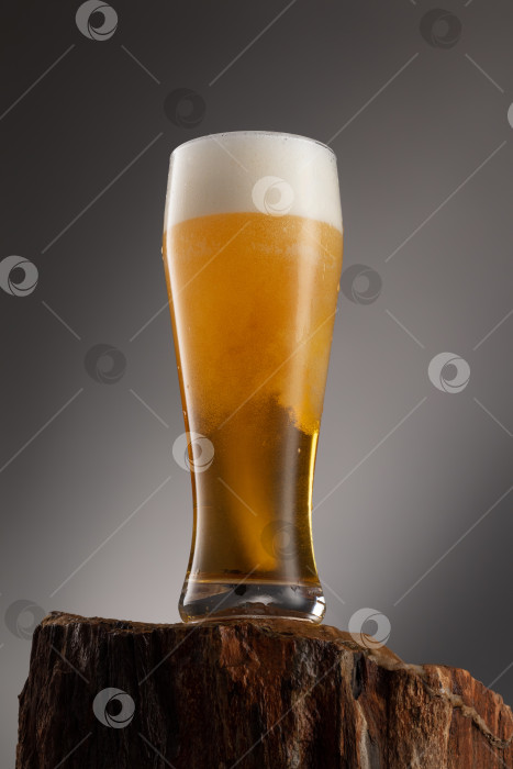 Скачать Бокал свежего и холодного светлого пива на сером фоне фотосток Ozero