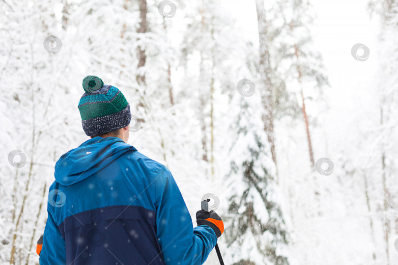 Скачать Лыжник в ветровке и шапке с помпоном, с лыжными палками в руках, спиной на фоне заснеженного леса. Катание на беговых лыжах в зимнем лесу, спорт на открытом воздухе, здоровый образ жизни. фотосток Ozero