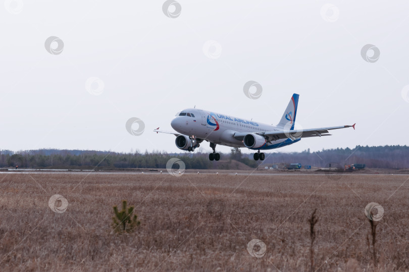 Скачать Пассажирский авиалайнер приземляется на взлетно-посадочную полосу в поле с сухой прошлогодней травой. фотосток Ozero