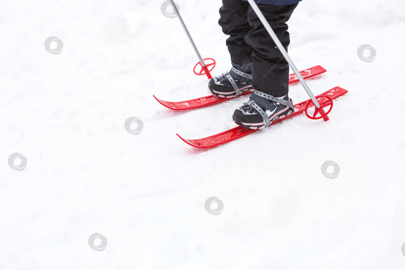 Скачать Детские ножки в красных пластиковых лыжах с палками спускаются по снегу с горки - зимний вид спорта, семейное развлечение на свежем воздухе. Маленькая девочка с раннего возраста скользит вниз по склону. Пространство для копирования фотосток Ozero