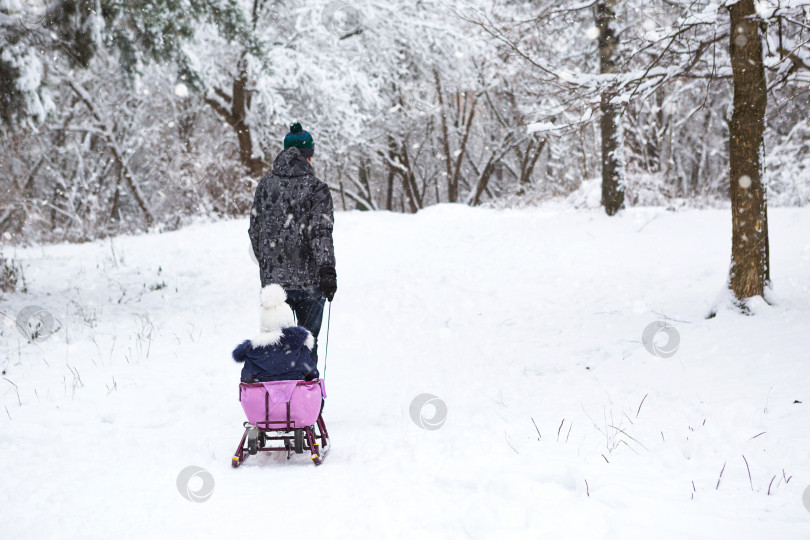 Скачать Папа катает свою маленькую дочь на санках в гору по зимнему заснеженному лесу. Активные семейные мероприятия на свежем воздухе фотосток Ozero