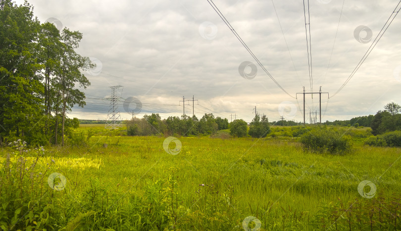 Скачать Летний пейзаж на опушке леса с линией электропередачи фотосток Ozero