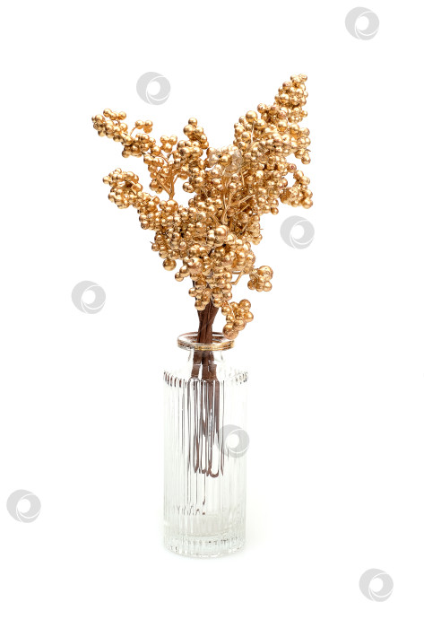 Скачать Маленькая стеклянная ваза с золотой ветвью, выделенной на белом фоне фотосток Ozero