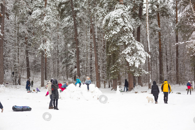 Скачать Люди гуляют по заснеженному зимнему лесу со своими семьями, на лыжах, санках, надувных тюбингах, катаются с горки, строят крепость и снеговика. Зимние развлечения на свежем воздухе. 22 ноября 2020 года - Калуга, Россия. фотосток Ozero