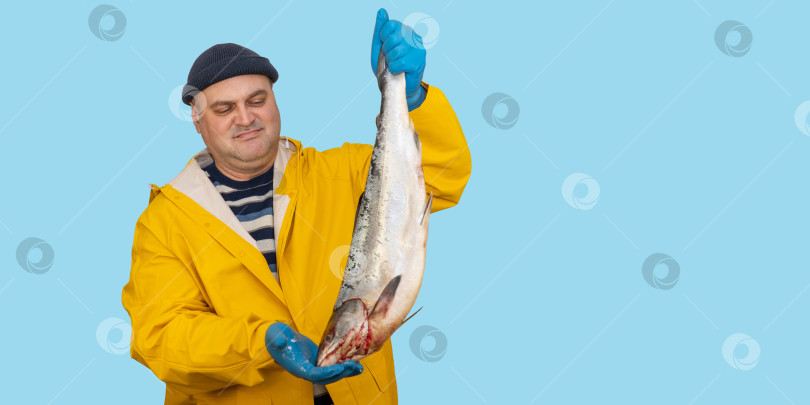 Скачать рыбак в желтом костюме держит в руках свежевыловленную рыбу. ловец в плаще. рыболов на синем фоне.  концепция рыбной промышленности. фотосток Ozero