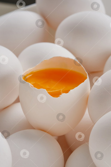 Скачать Разбитое яйцо, яичная скорлупа с желтком. фотосток Ozero