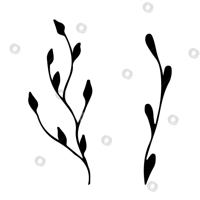 Скачать Нарисуйте один элемент ветки-веточки. Сухая веточка растения, трава. Векторная иллюстрация силуэта фотосток Ozero