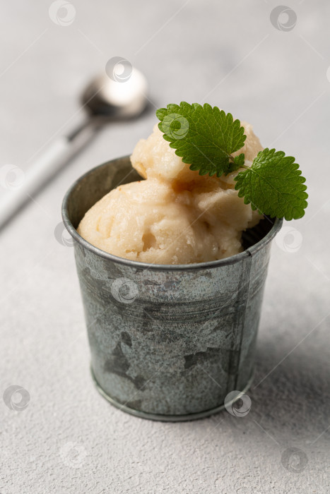 Скачать Лимонный сорбет с листиками мяты, освежающее мороженое, подается в фотосток Ozero