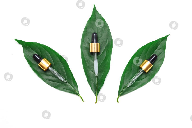 Скачать Три косметические пипетки на зеленых листьях с сывороткой и гиалуроновой кислотой на белом изолированном фоне вид сверху фотосток Ozero
