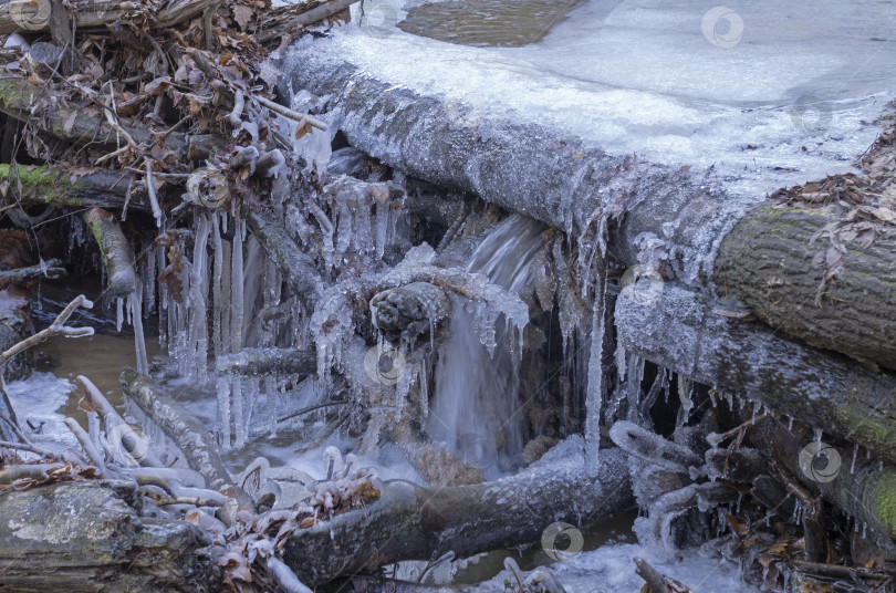 Скачать Причудливые ледяные фигуры на ветвях, упавших в лесной ручей. фотосток Ozero