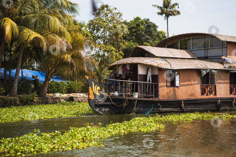 Скачать Прогулочный круизный лайнер House-boat в Индии, штат Керала, по заросшим водорослями каналам реки Аллапужа в Индии. Лодка на озере под ярким солнцем и пальмами среди тропиков. Вид плавучего дома фотосток Ozero