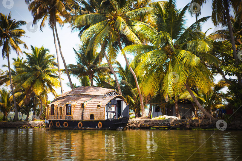 Скачать Прогулочный круизный лайнер House-boat в Индии, штат Керала, по заросшим водорослями каналам реки Аллапужа в Индии. Лодка на озере под ярким солнцем и пальмами среди тропиков. Вид плавучего дома фотосток Ozero