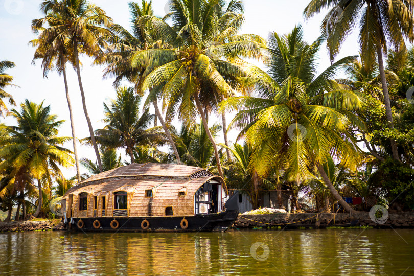 Скачать Прогулочный круизный лайнер House-boat в Индии, штат Керала, по заросшим водорослями каналам реки Аллапужа в Индии. Лодка на озере под ярким солнцем и пальмами среди тропиков. Вид плавучего дома фотосток Ozero