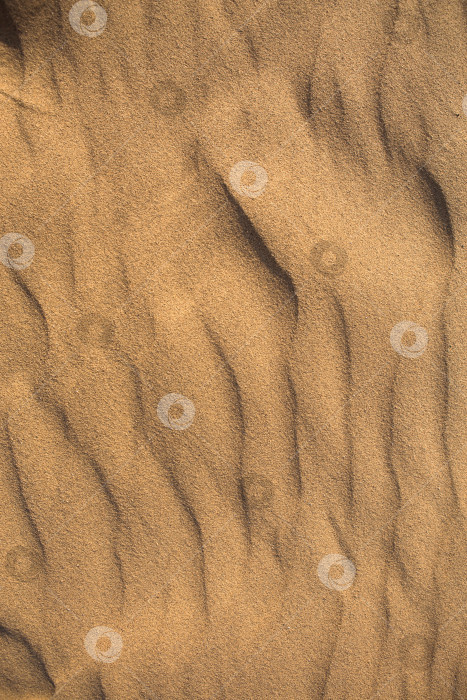 Скачать Текстура песка в пустыне крупным планом на заднем плане. Дюна с рисунком из песчаных волн фотосток Ozero