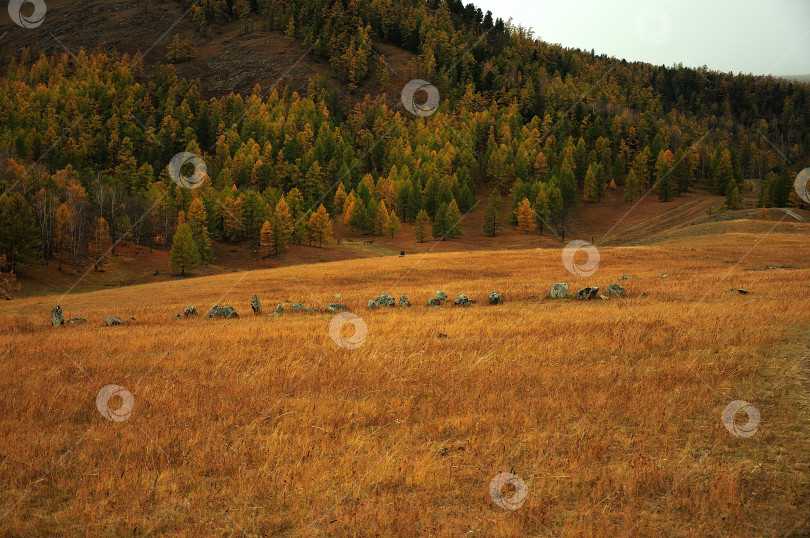 Скачать Прямоугольная ограда из камней из древнего захоронения в живописной осенней долине у подножия высокой горы. фотосток Ozero