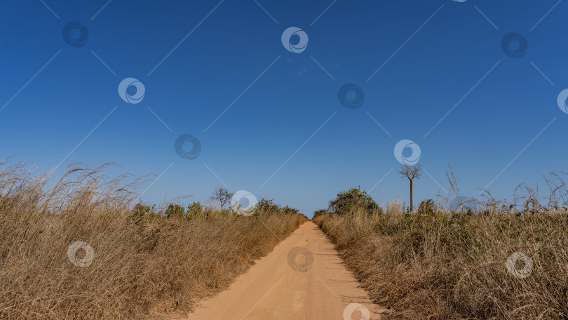 Скачать Вперед ведет прямая грунтовая дорога с оранжевой почвой. фотосток Ozero