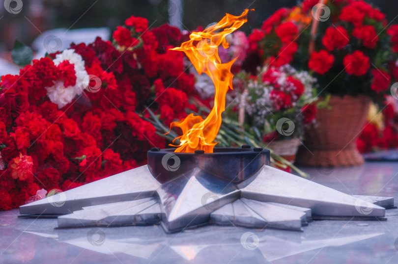 Скачать Вечный огонь на фоне цветов. Мемориал погибшим во Второй мировой войне. фотосток Ozero