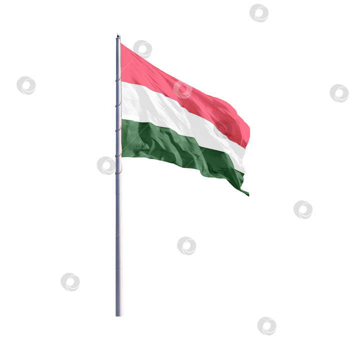 Скачать Развевающийся венгерский флаг на флагштоке. Солнечный боковой свет. Изолировать на белом фоне фотосток Ozero