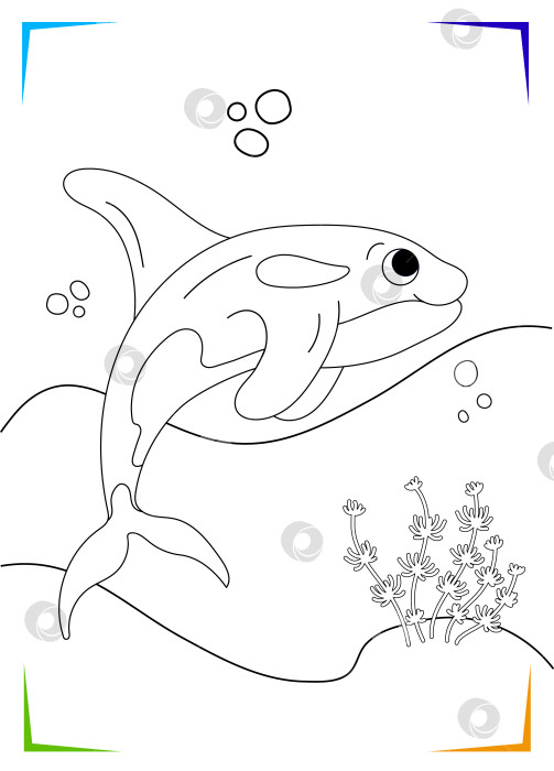 Скачать Черно-белая раскраска "Косатка" для детей. Векторная иллюстрация морских подводных обитателей. фотосток Ozero