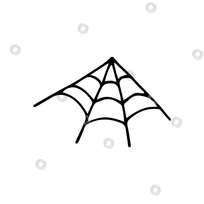 Скачать Нарисованный от руки клипарт с каракулями и паутиной. Векторная черно-белая паутина для Хэллоуина. Контур. фотосток Ozero