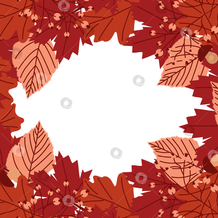 Каркас из осенних листьев на белом фоне :: Стоковая фотография :: Pixel-Shot Studio