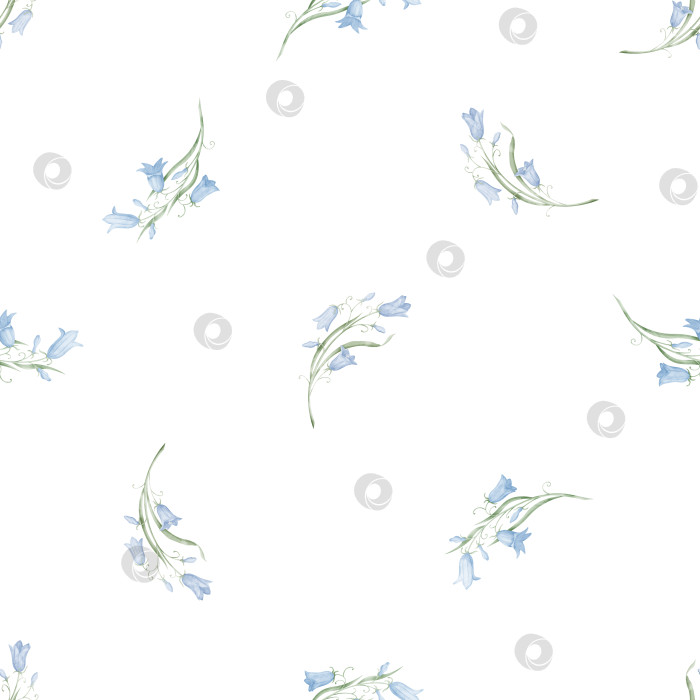 Скачать Акварельный бесшовный цветочный узор в виде колокольчика. Нарисованный вручную цветочный фон с синими колокольчиками для текстильного оформления или оберточной бумаги. Нежные ботанические обои в пастельных голубых и зеленых тонах фотосток Ozero