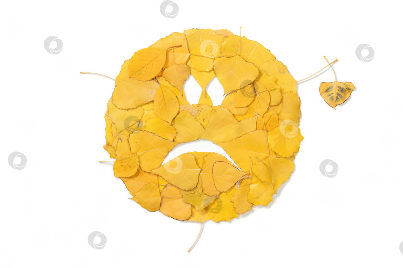 Скачать Грустное лицо, сделанное из желтых осенних листьев фотосток Ozero