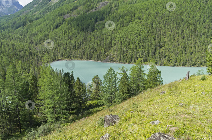 Скачать Небольшое горное озеро. Горный Алтай, Россия. фотосток Ozero