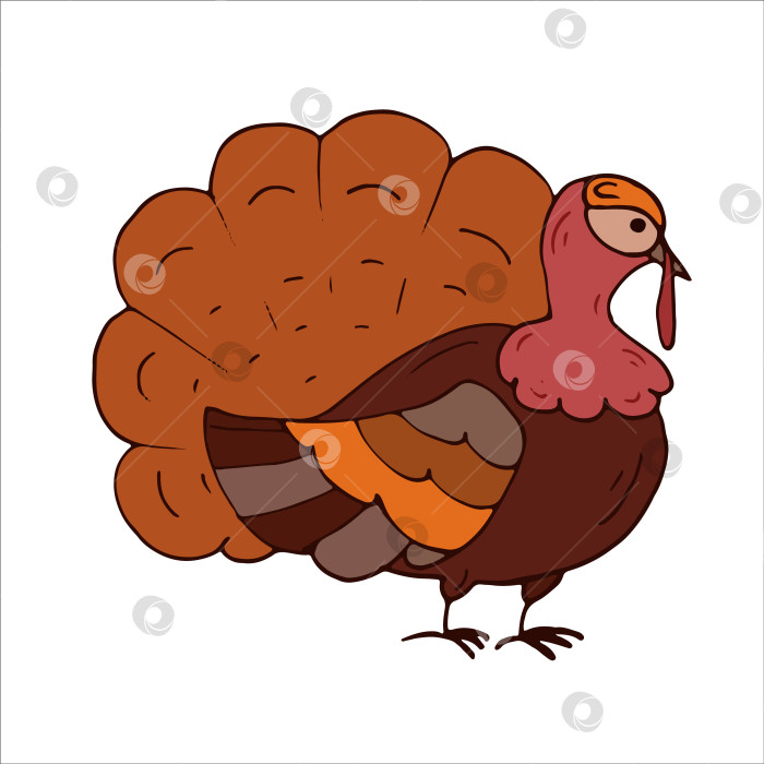 Скачать Турция изолирована. День благодарения. векторная иллюстрация. Плоский стиль фотосток Ozero