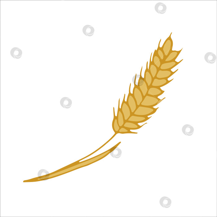 Скачать Колос пшеницы. Значок, наклейка, элемент дизайна. Желтый цвет. векторная иллюстрация. фотосток Ozero