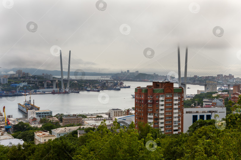 Скачать Вид на бухту Золотой рог и вантовый мост фотосток Ozero