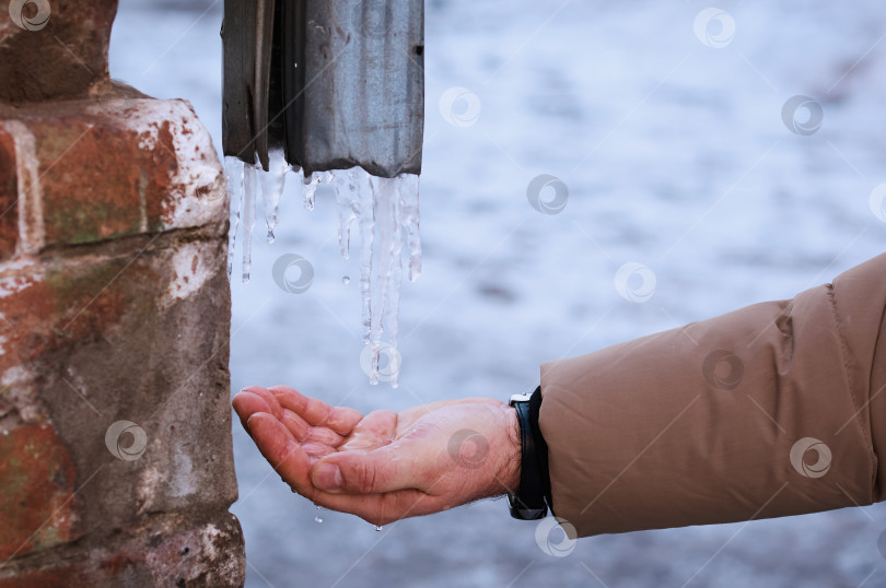 Скачать Вода капает с тающих сосулек из железной водосточной трубы на ладонь мужчины. фотосток Ozero