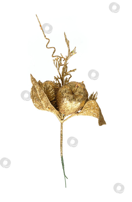 Скачать Традиционная золотая декоративная ветвь, выделенная на белом фоне фотосток Ozero