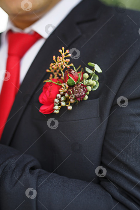 Скачать Свадебная бутоньерка жениха из суккулентов и красных цветов в черном пиджаке с красным галстуком. Праздничный декор, цветы, наряд для регистрации брака. Крупный план, место для текста фотосток Ozero