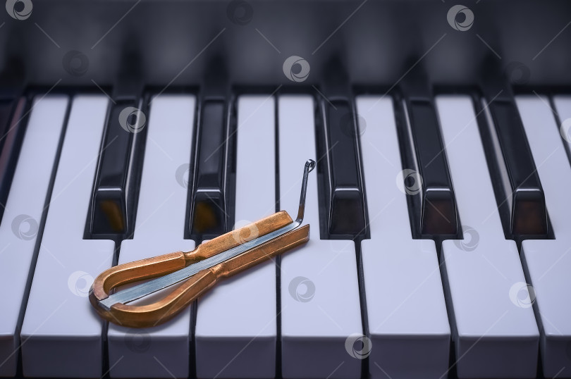 Скачать Этническая еврейская арфа лежит на клавишах пианино. фотосток Ozero