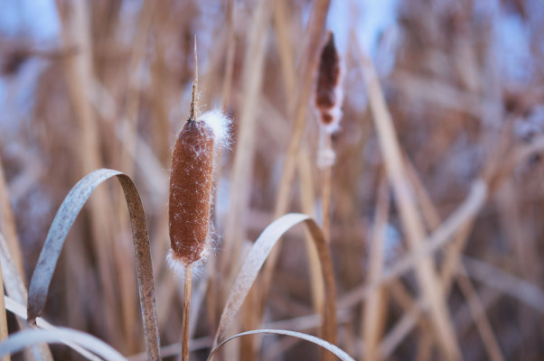 [object Object] undefined