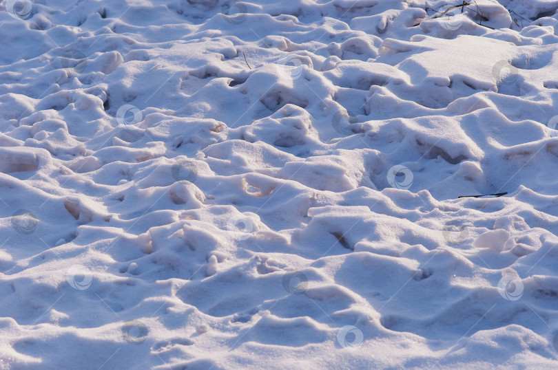 Скачать Волнистая текстура снега в лучах заходящего солнца. Зимний пейзаж. Блики и тени. фотосток Ozero