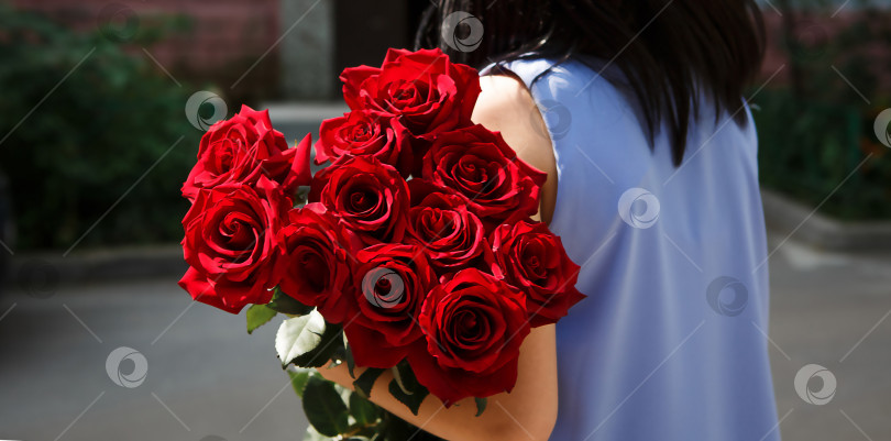 Скачать Большой букет красных роз в руках девушки в голубом платье. День святого Валентина, подарок мужу, день рождения, годовщина, знак любви. Флористический. Пространство для текста фотосток Ozero