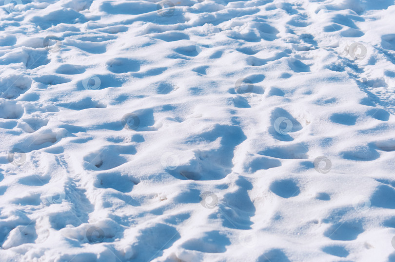 Скачать Волнистая текстура снега в лучах заходящего солнца. фотосток Ozero