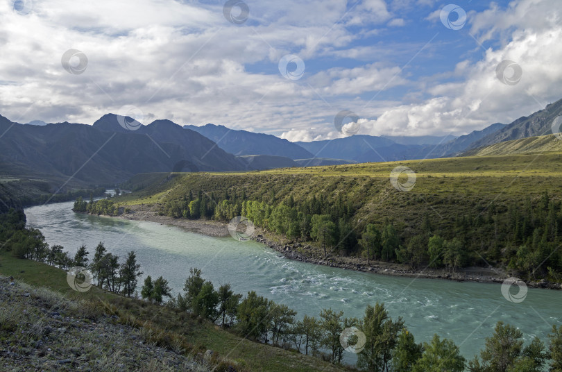 Скачать Утро в долине реки Катунь. Горный Алтай, Россия. фотосток Ozero