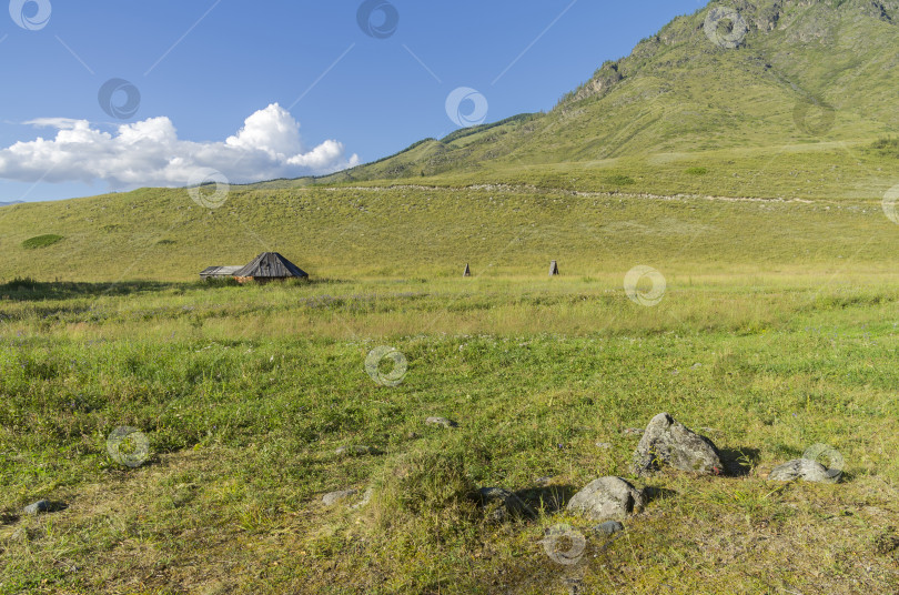 Скачать Заброшенное скотоводческое ранчо. Горный Алтай, Россия. фотосток Ozero