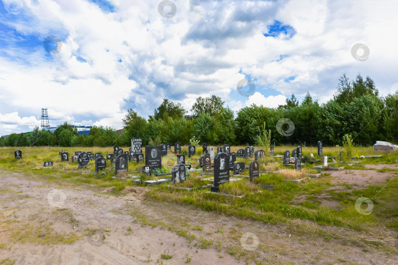 Скачать Городское кладбище домашних животных - Санкт-Петербург, Россия, Июль 2023 фотосток Ozero