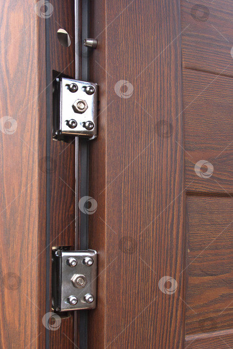 Скачать Классическая поворотная петля металлической входной двери фотосток Ozero