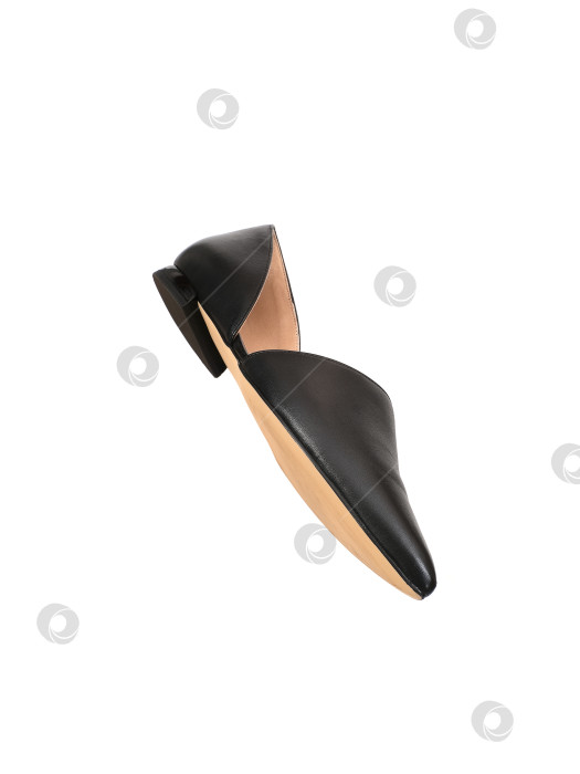 Скачать Красивые черные туфли из черной кожи на низком каблуке, выделяющиеся на белом фоне фотосток Ozero