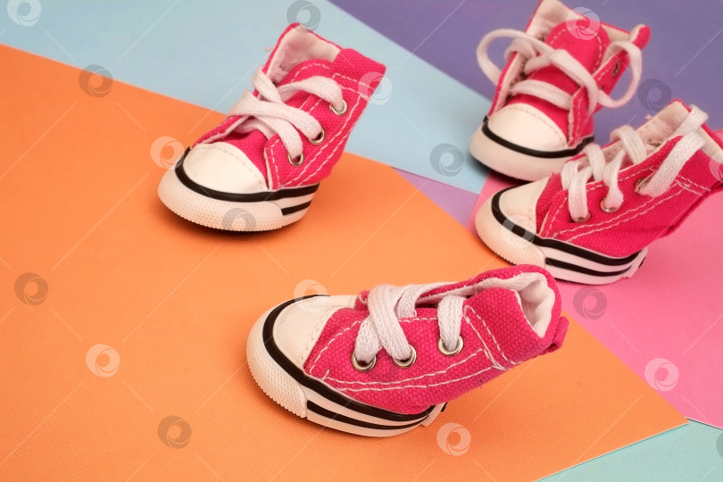 Скачать Забавные розовые кроссовки для маленьких собачек на цветном фоне фотосток Ozero