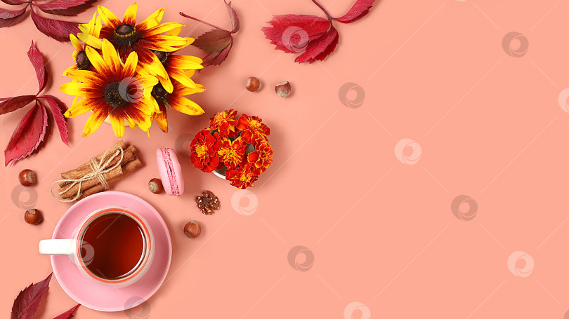 Скачать Осенняя открытка с горячим чаем в стеклянной чашке, орехами и специями на фоне сезонных цветов и листьев, уютная теплая концепция, привет осени, стиль хюгге, выборочный фокус, вид сверху, фотосток Ozero