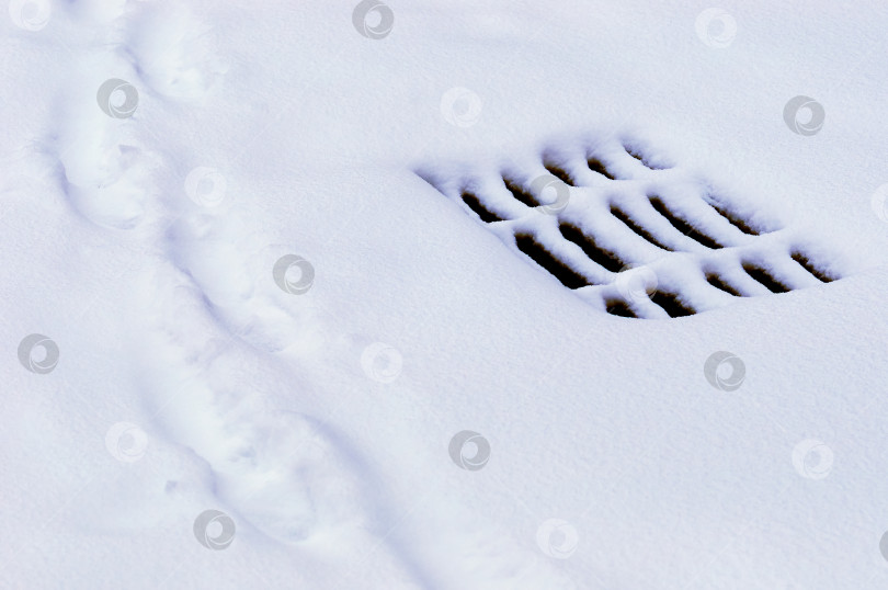 Скачать Storm sewer grate under snow during snowfall in winter. Black slits on a white smooth surface. Human footprints on a snow-covered city street. фотосток Ozero