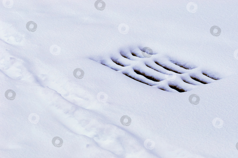 Скачать Storm sewer grate under snow during snowfall in winter. Black slits on a white smooth surface. Human footprints on a snow-covered city street. фотосток Ozero